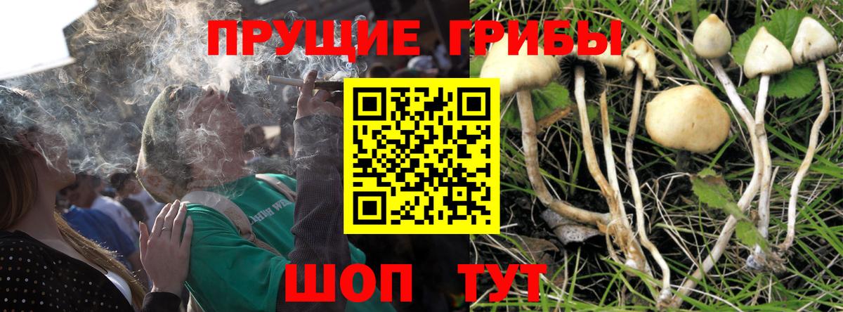 Псилоцибиновые грибы мухоморы Саров