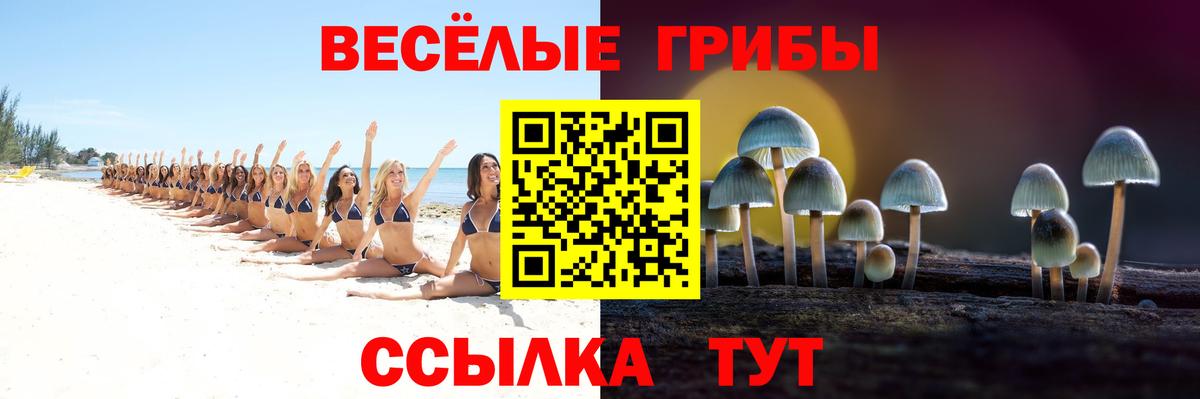 Псилоцибиновые грибы Magic Shrooms  Вход с VPN  Саров 